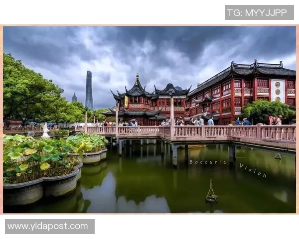 东京与上海的城市魅力对比探索现代化与传统文化的交融之美